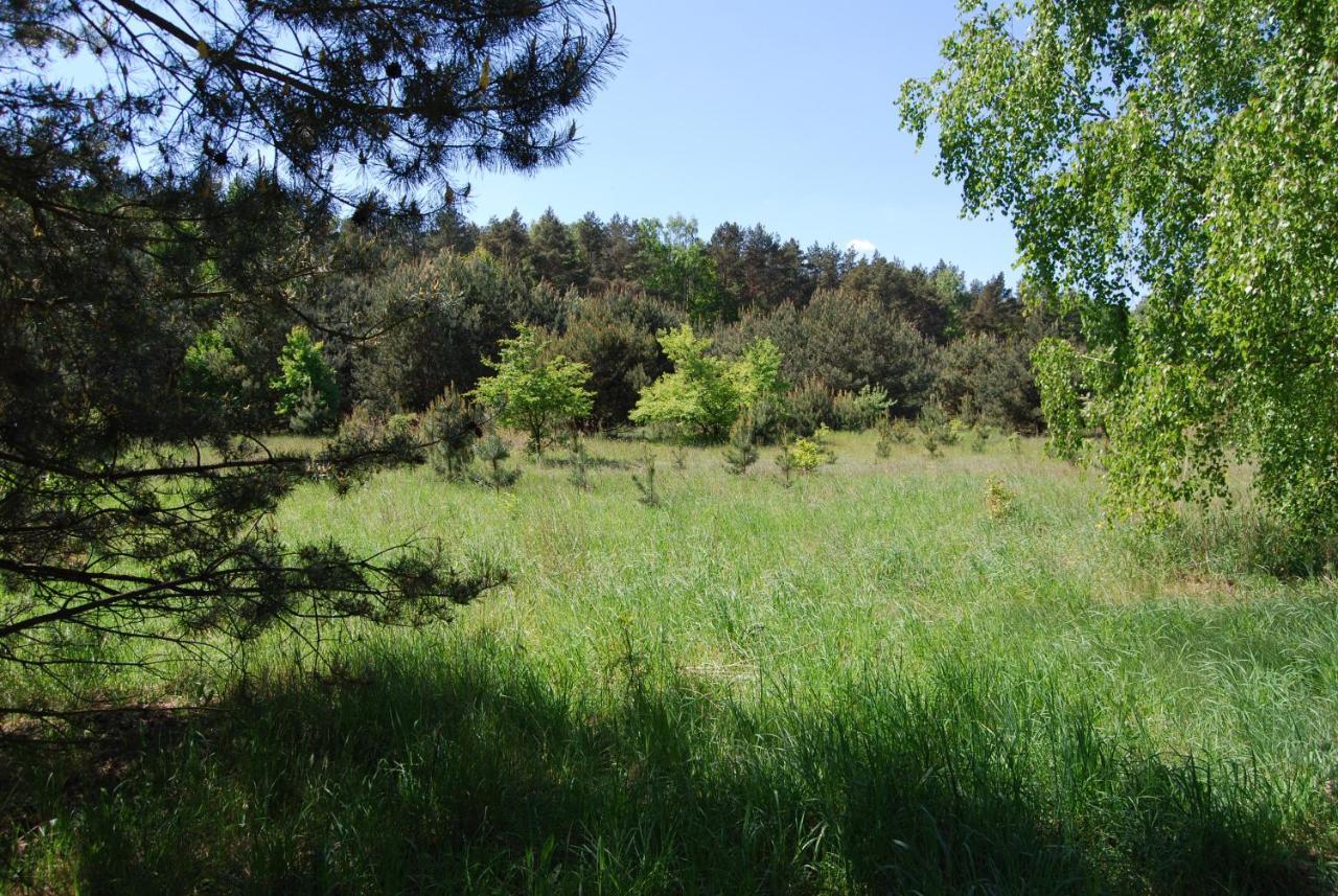 Szydlowiec Anastazewo Εξωτερικό φωτογραφία