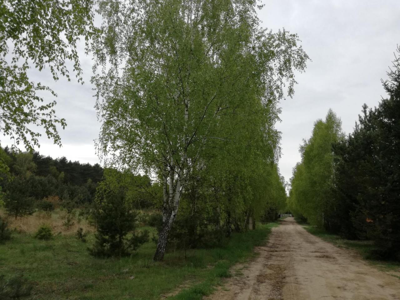 Szydlowiec Anastazewo Εξωτερικό φωτογραφία